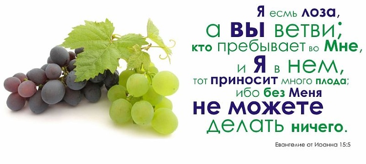 Христианский Интернет Магазин В России