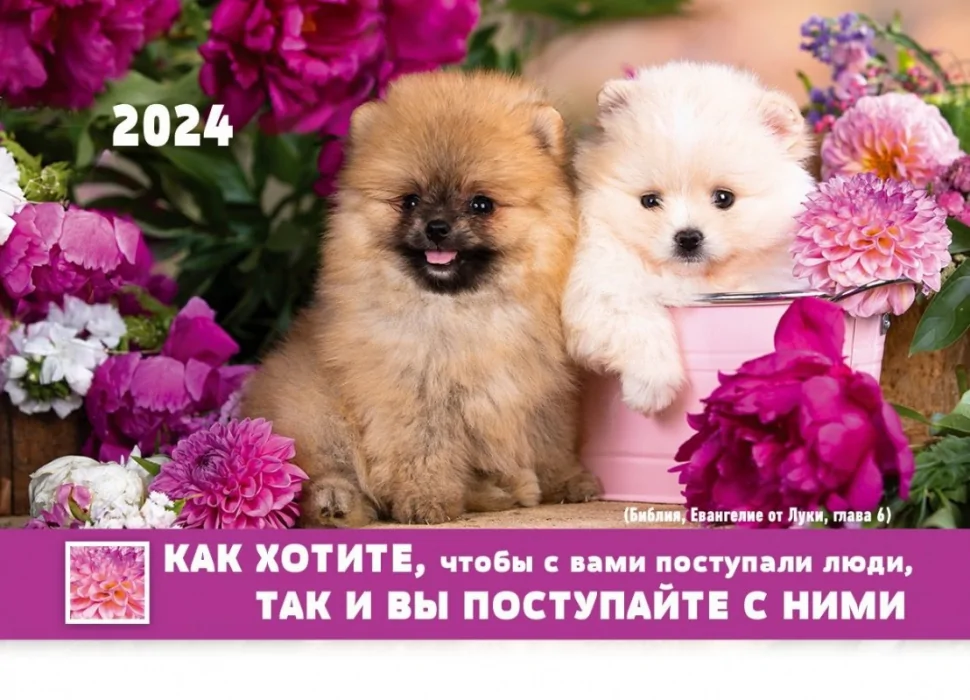 Карманный календарь 2024: Золотое правило жизни Карманный календарь 2024: Золотое правило жизни