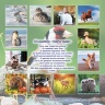 Перекидной календарь для детей 2023: Животные