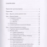 БЕЗВИДНЫЙ СВЕТ. Введение в изучение восточносирийской христианской мистической традиции.  Робер Бёлэ
