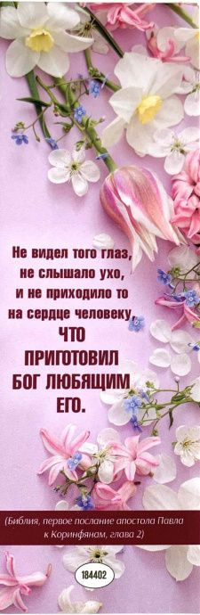 Закладка одинарная 4x16: Не видел того глаз, не слышало ухо...