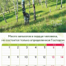 Перекидной календарь 2024: Природа славит Творца