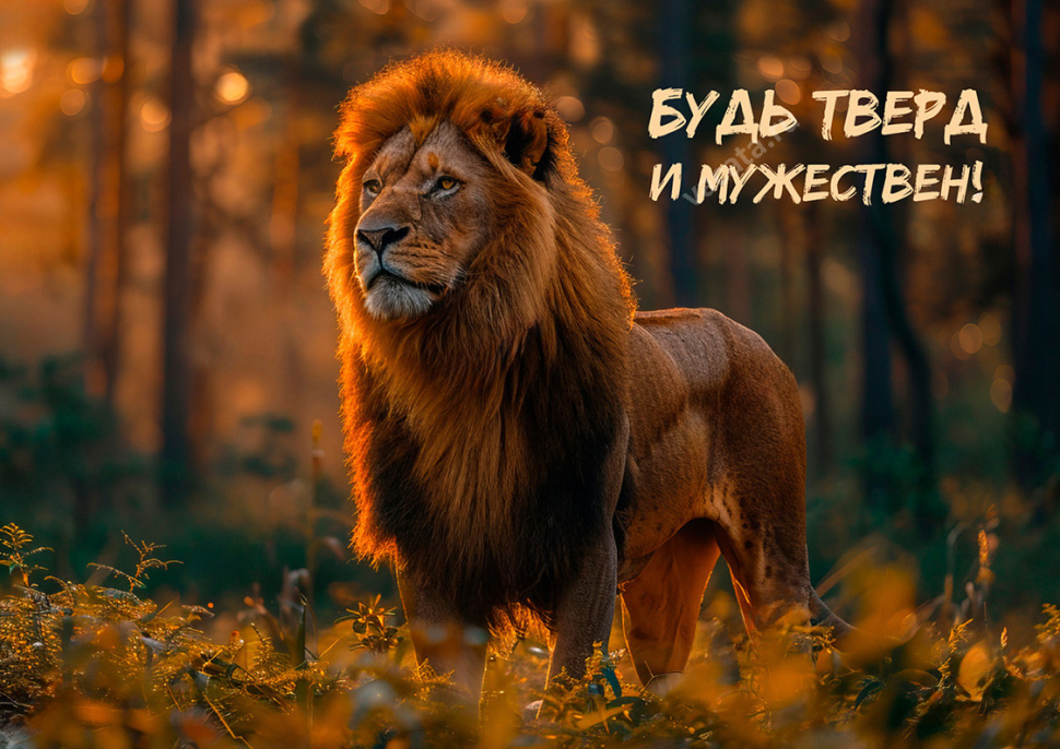 Открытка одинарная 10x15: Будь тверд /глянец/