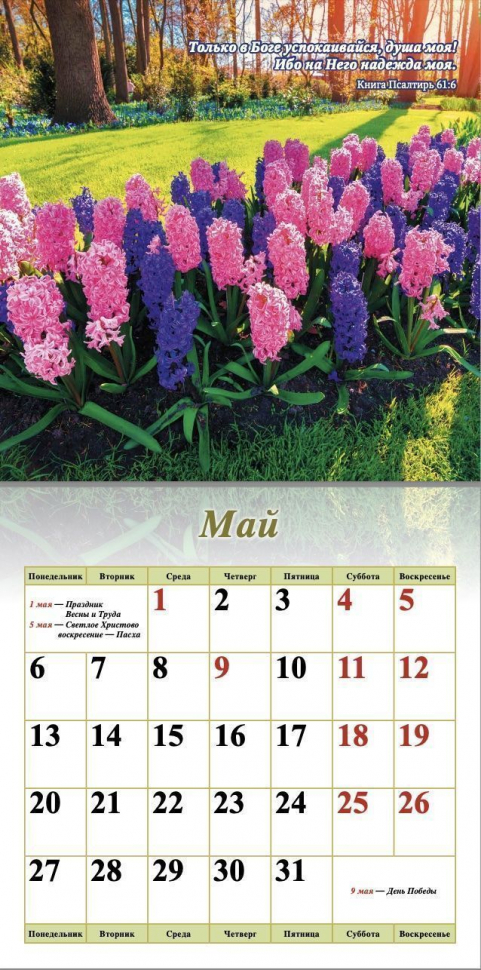 Купить Перекидной календарь на 2024 год: Природа в христианском  интернет-магазине Время благодати
