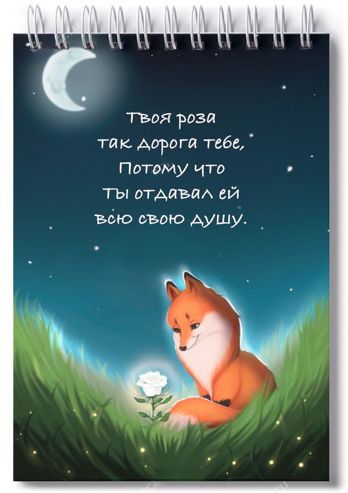 Блокнот А6 "МАЛЕНЬКИЙ ПРИНЦ" /софт-тач/