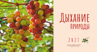Настольный календарь 2027: Дыхание природы /домик/