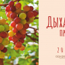 Настольный календарь 2027: Дыхание природы /домик/ Настольный календарь 2027: Дыхание природы /домик/