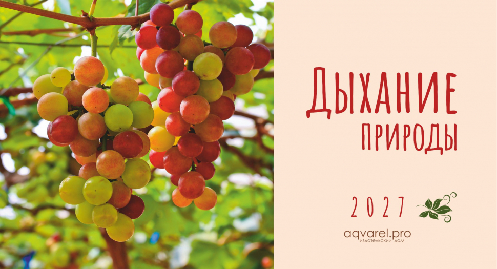 Настольный календарь 2027: Дыхание природы /домик/