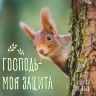 ДЕТСКИЙ БИБЛЕЙСКИЙ ЦИТАТНИК "Забавные животные"