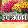 Настольный календарь 2027: Божьи благословения /домик/