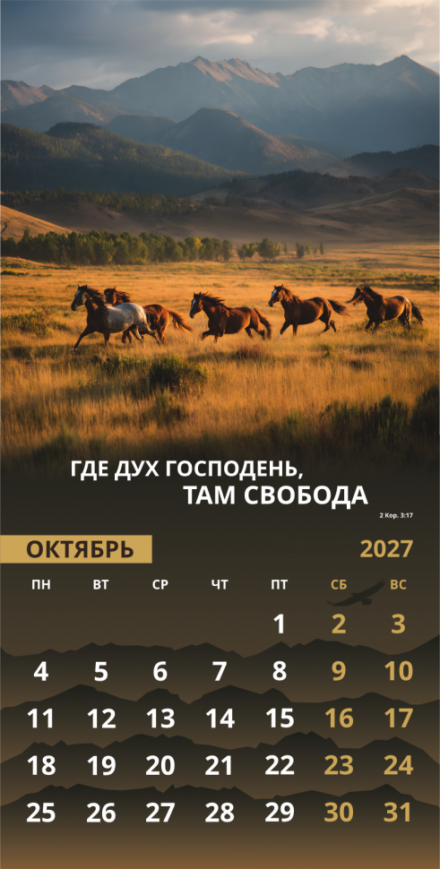 Перекидной календарь 2027: Достигая цели (мужской) /Акварель/