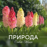 Перекидной календарь 2027: Природа славит Творца /Акварель/ Перекидной календарь 2027: Природа славит Творца /Акварель/