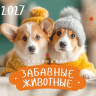 Перекидной календарь 2027: Забавные животные (детский) /Акварель/ Перекидной календарь 2027: Забавные животные (детский) /Акварель/