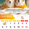 Перекидной календарь 2027: Забавные животные (детский) /Акварель/ Перекидной календарь 2027: Забавные животные (детский) /Акварель/