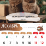 Перекидной календарь 2027: Забавные животные (детский) /Акварель/ Перекидной календарь 2027: Забавные животные (детский) /Акварель/
