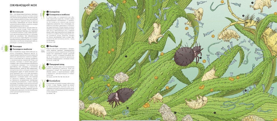 ЖИВОЙ МИР ПОД МИКРОСКОПОМ. Элен Ражкак, Дамьен Лавердан