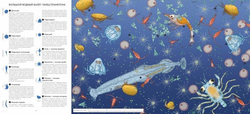 ЖИВОЙ МИР ПОД МИКРОСКОПОМ. Элен Ражкак, Дамьен Лавердан