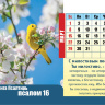 Настольный календарь 2020: Псалмы радости /домик/