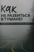 КАК НЕ РАЗБИТЬСЯ В ТУМАНЕ? Алексей Коломийцев /новое издание/