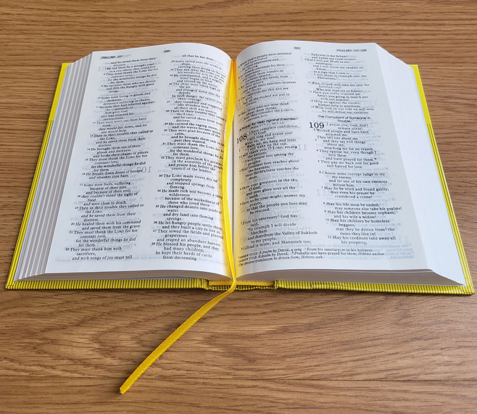 GOOD NEWS BIBLE. Today's English Version. Библия на английском языке c неканоническими книгами. Большой формат. Словарь, карты, закладка /220x150/