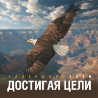 Перекидной календарь 2026: Достигая цели (мужской) /Акварель/