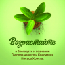 Набор христианских открыток "Иисус-Господь" /10 шт/