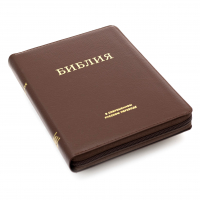 БИБЛИЯ 057 MZTiG Коричневый, современный перевод, кожа, золотой обрез, индексы, закладка /210х150/