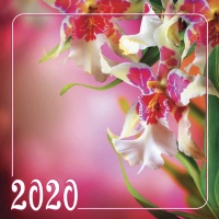 Перекидной календарь для женщин 2020: Цветы