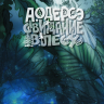 СВИДАНИЕ В ЛЕСУ. Сборник самых трогательных историй о жизни с Богом. Алан Одерсэ