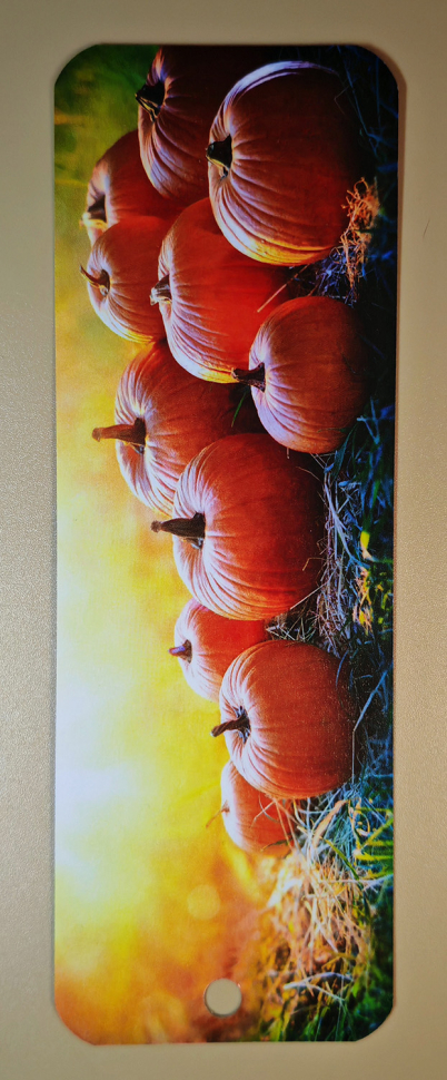 Закладка двусторонняя «Ибо благодатью вы спасены» /тыквы/