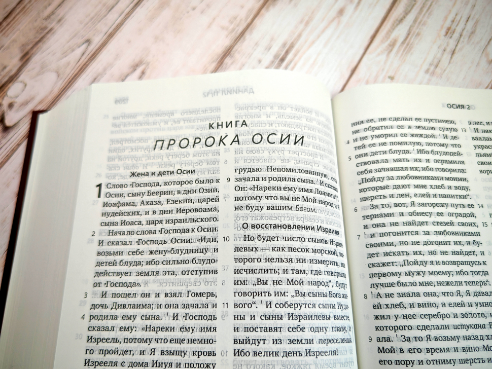 БИБЛИЯ КАНОНИЧЕСКАЯ. Бежево-синий цвет, твердый переплет, синодальный перевод, крупный шрифт /210х145/