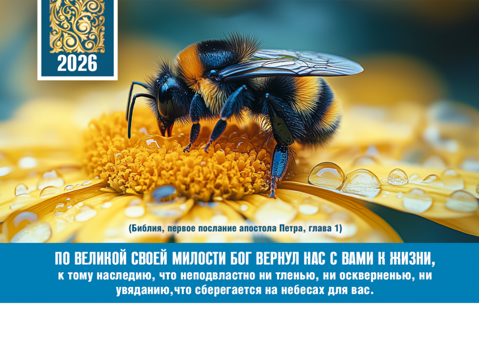 Карманный календарь 2026: Бог вернул нас к жизни