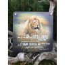 Табличка интерьерная из дерева 250x250: "Лев"