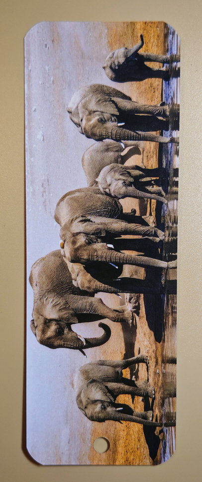 Закладка двусторонняя «Кто Бог, как Ты?» /слоны/