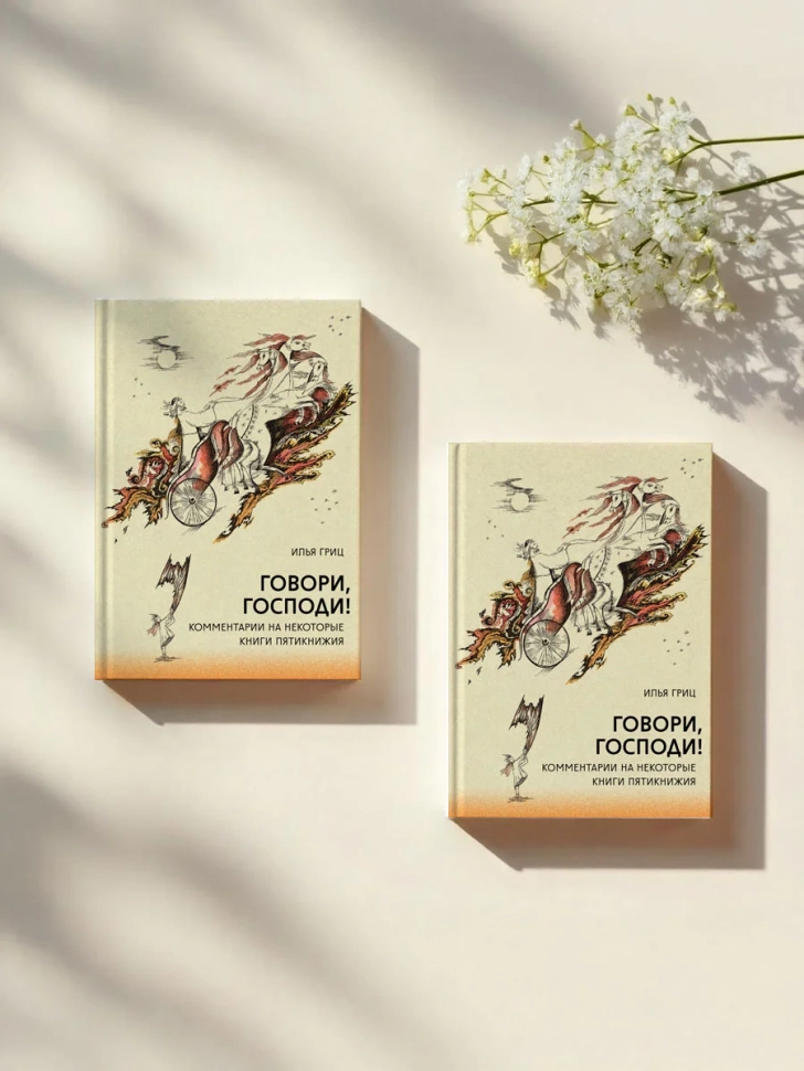ГОВОРИ, ГОСПОДИ! Комментарии на некоторые книги Пятикнижия. Илья Гриц
