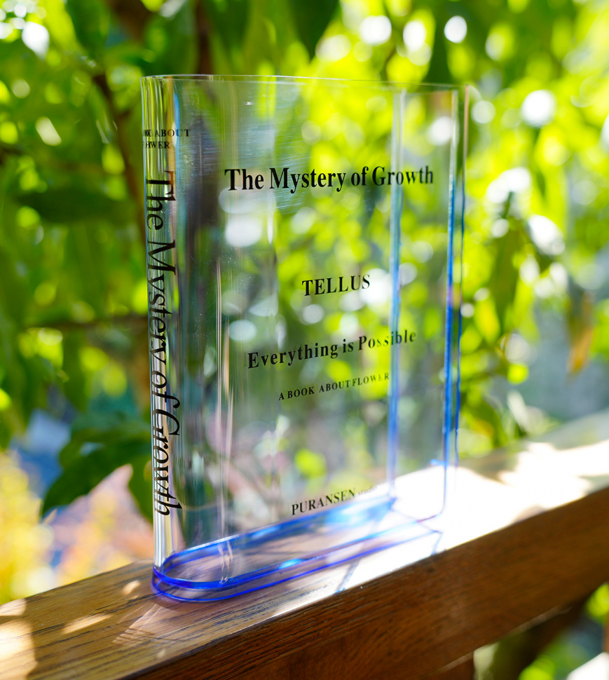 Ваза-книга для цветов /прозрачный синий/