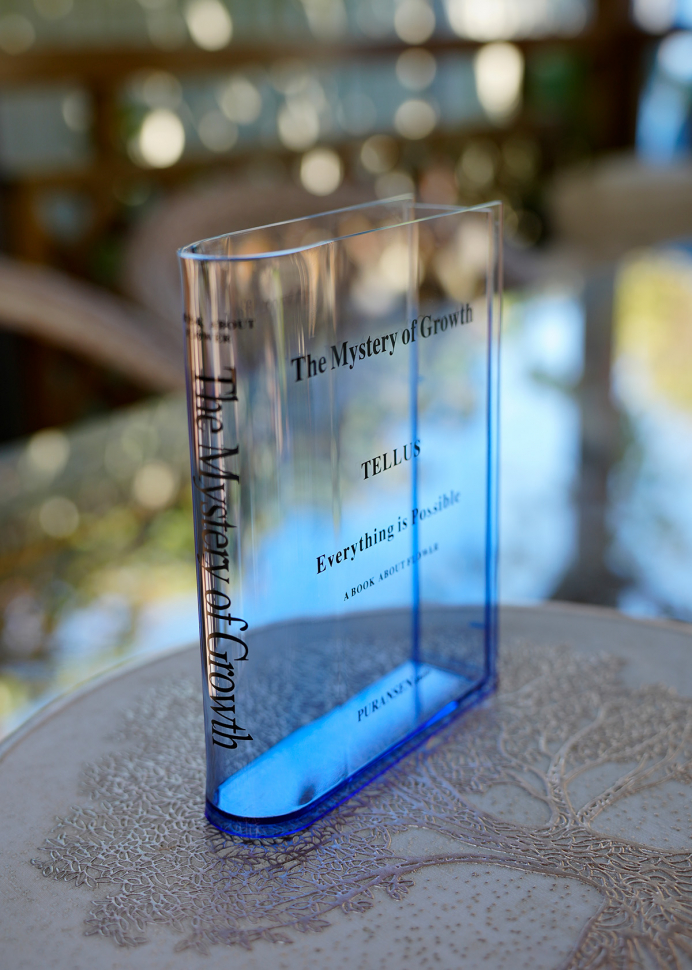 Ваза-книга для цветов /прозрачный синий/