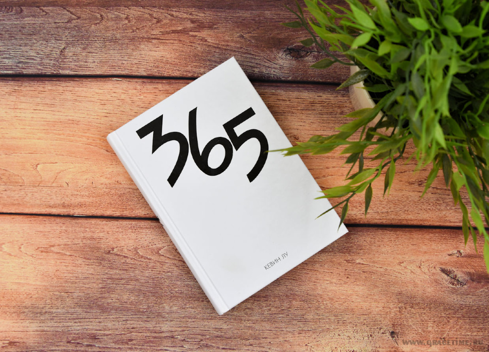 365. Кевин Лу