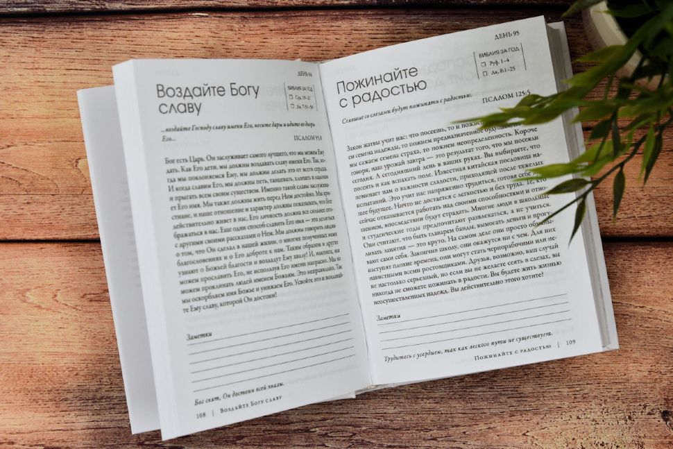 365. Кевин Лу