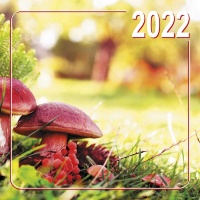 Перекидной календарь на 2022: Природа