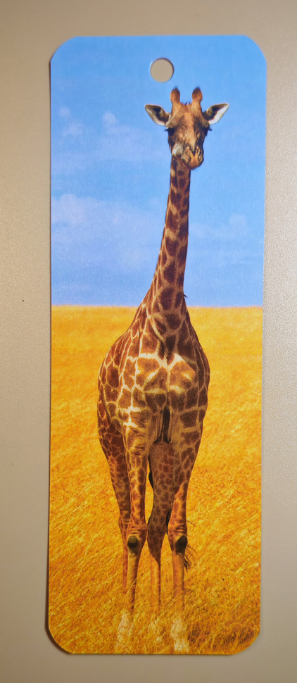 Закладка двусторонняя «Око Господне над боящимся Его» /жираф/