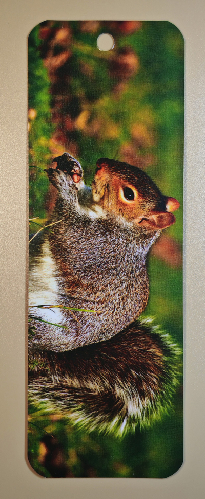 Закладка двусторонняя «Отче наш» /белка/