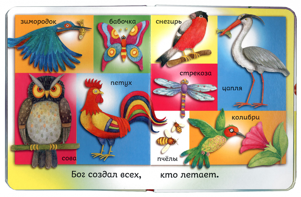 Уценка! БОГ СОЗДАЛ МЕНЯ