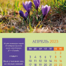 Перекидной календарь на пружине 2023: Согласие, созидающее мир (6 листов)