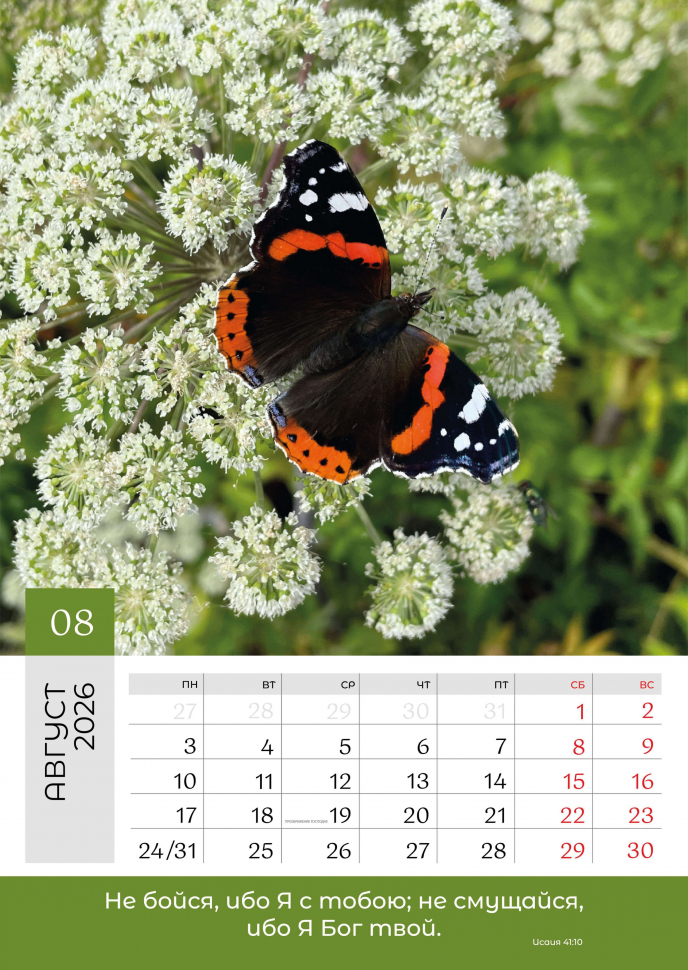 Перекидной календарь 2026: Слово Божье в каждый дом. 12 листов /Библейская лига/