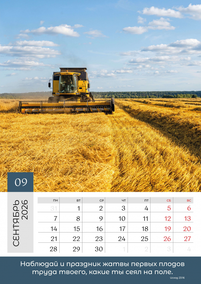 Перекидной календарь 2026: Слово Божье в каждый дом. 12 листов /Библейская лига/