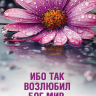 Закладка одинарная 4x16: Ибо так возлюбил Бог мир