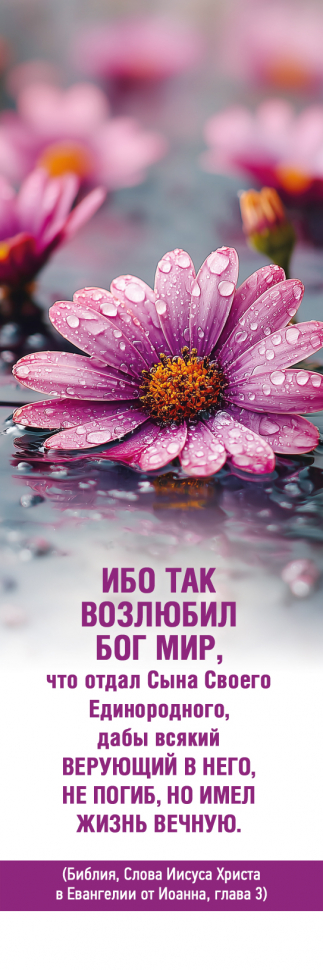 Закладка одинарная 4x16: Ибо так возлюбил Бог мир