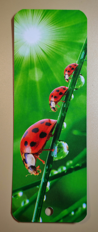 Закладка двусторонняя «Покайтесь и веруйте в Евангелие» /Божья коровка/