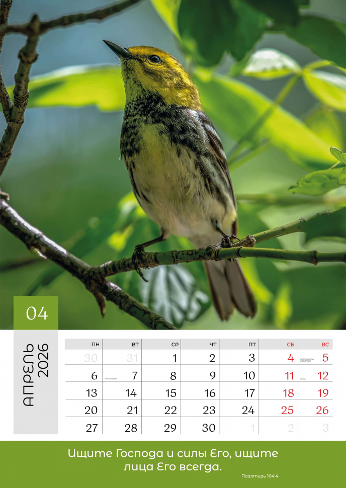 Перекидной календарь 2026: Слово Божье в каждый дом. 6 листов /Библейская лига/